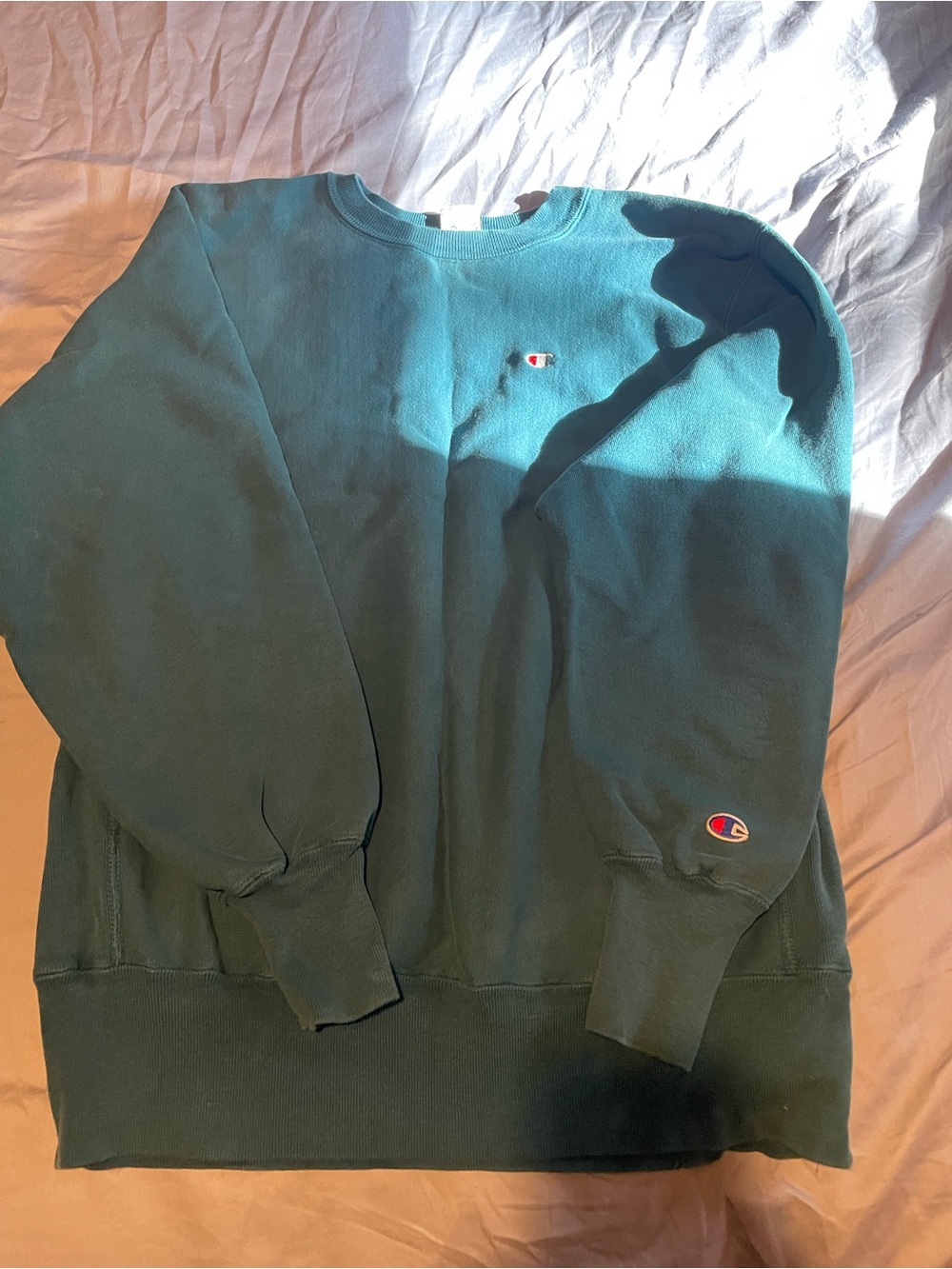 Champion Men’s Crewneck Sweatshirt in Teal Green
